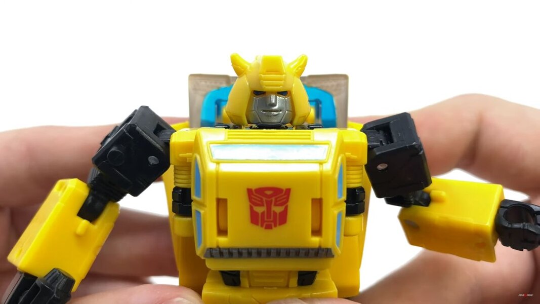 origin bumblebee buzzworthy